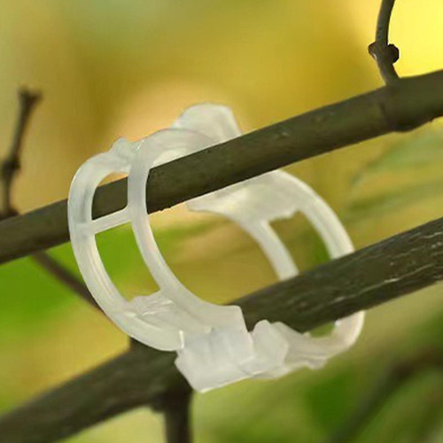 Clips Para Tomates Clips Para Plantas Trepadoras 100 Clips D