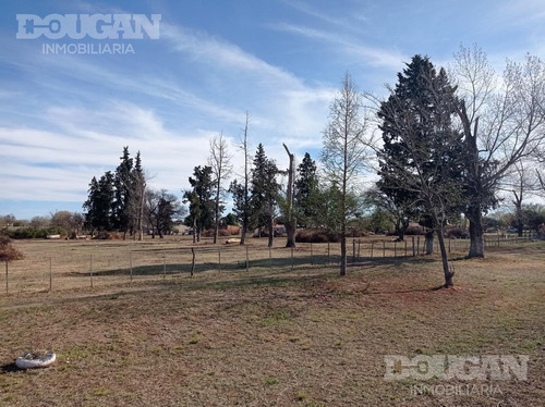 Imagen 2 de 5 de Terreno - Santa Rosa De Conlara