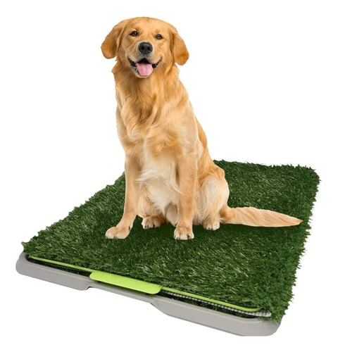 Tapete Sanitario Green Grass Fancy Entrenador Perro Chico