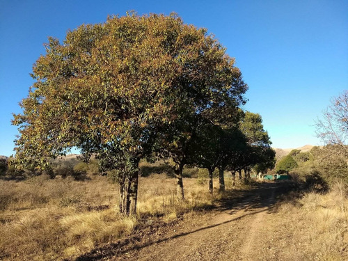 Imagen 29 de 30 de Terrenos En Las Sierras De Cordoba