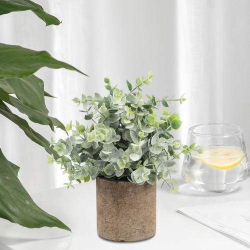 Planta Suculenta Falsa Artificial En Maceta Mini Eucalipto