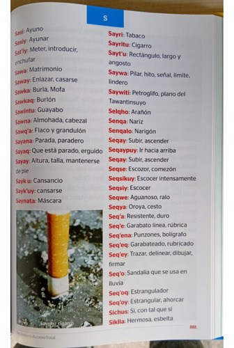 Diccionario Acceso Total
