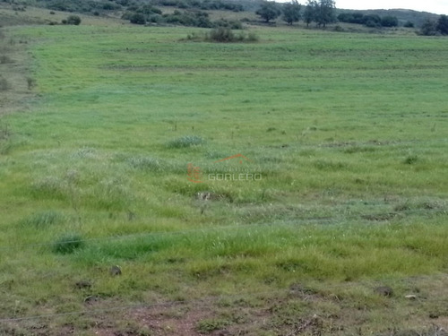 Imagen 26 de 29 de Maldonado Campo Con 150 Has Ganaderas En Aigua, 70 Kms De Punta, Serrano, Pintoresco, Con Instalaciones