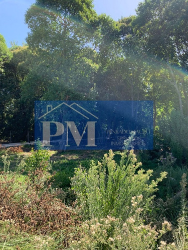 Terreno En Venta En Velloso