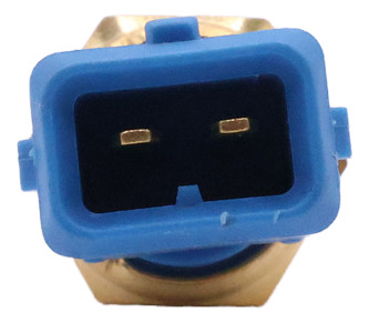 Sensor Bulbo Azul Temperatura Pointer