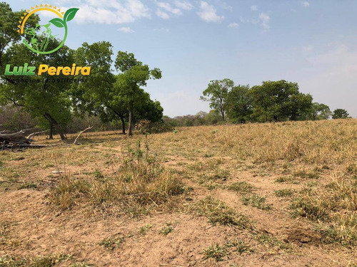 Imagem 4 de 10 de Fazenda À Venda Em Conceição Do Araguaia-pa-1.694 Hectares (dupla Aptidão) - 2028