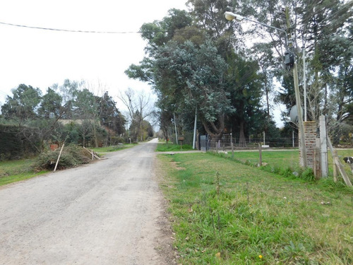 Imagen 11 de 12 de Venta - Lote Perimetrado - Parque Sakura - Exaltacion De La Cruz