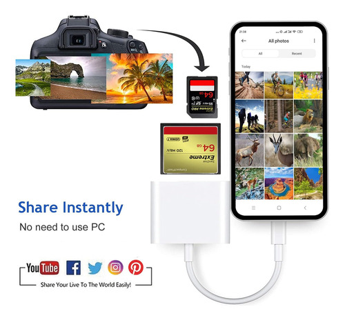 Lector De Tarjetas Micro Sd Usb C A Cf Sd Tipo C A Tarjeta D