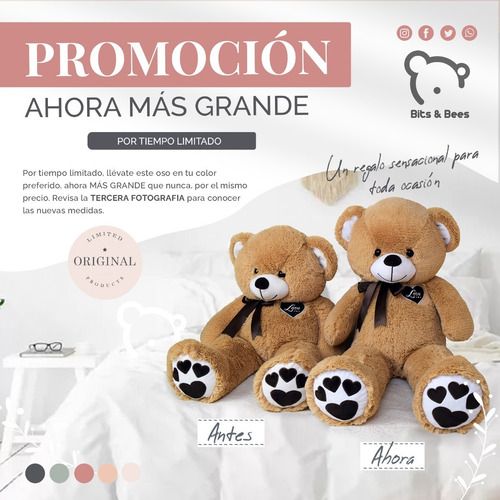 Oso De Peluche Grande Gigante Corazón Amor, 1 Metro + Regalo