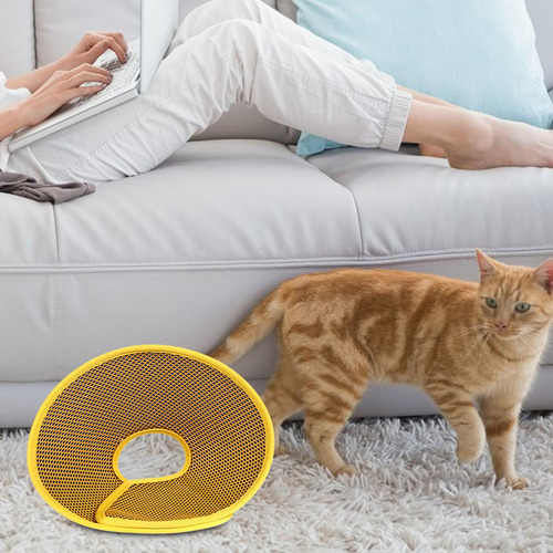 Cono De Gato Cono De Cuello De Gato Cono De Recuperación S