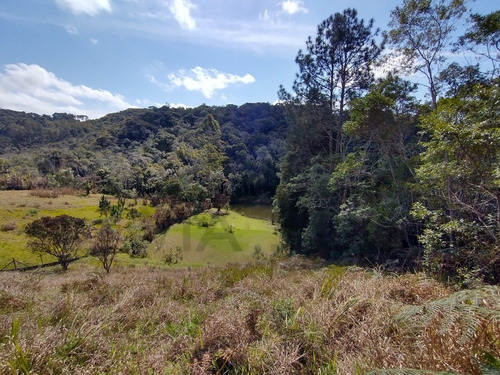 Imagem 10 de 30 de Encantadora Chácara À Venda Em Juquitiba, Excelente Para Moradia Ou Lazer. - 383 - 69951192