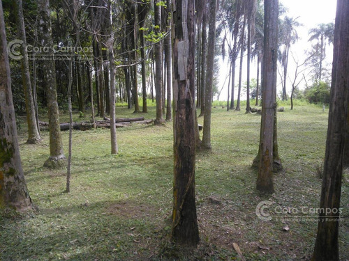 Imagen 6 de 8 de Se Vende Quinta De 1.5 Ha. Sobre Rio Paraná. Santa Tecla. Itu. Corrientes
