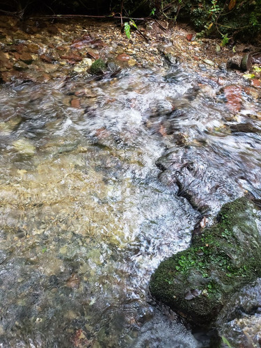 Rancho Entre Nubes Y Montañas En Cuetzalan Puebla