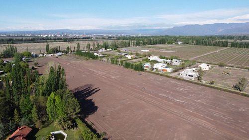 Venta Lotes Barrio Verona Vistalba Lujan De Cuyo