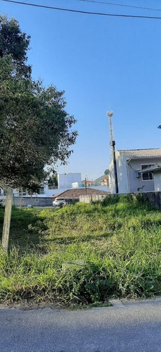 Imagem 8 de 11 de Excelente Terreno Em Sto. Antônio De Lisboa Florianópolis Sc - Te0150