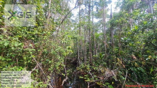 Imagem 3 de 14 de Fazenda À Venda, 2.019,2237 Ha Por R$ 1.600.000 - Br-308 - Mirinzal/ma - Fa0014
