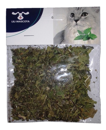 Yerba Gatera Para Gatos