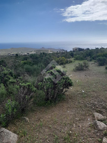 Parcela En Venta Estancia El Arrayan En La Serena