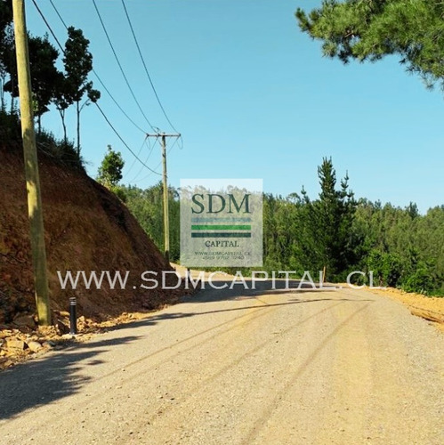 Venta Terreno - Sitio 5000mts Cobquecura Ñuble