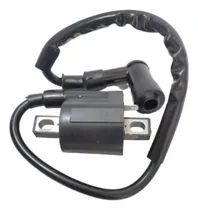 Comprar Bobina Completa Cg150 Bera Horse Outlook Arsen Tx200 Speed