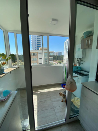 Arriendo Depto 3h2b1e1b Bosque De Montemar A Pasos De Colegi