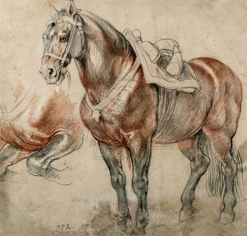 Lienzo Tela Arte Caballo Ensillado 1615 Paul Rubens 85x90