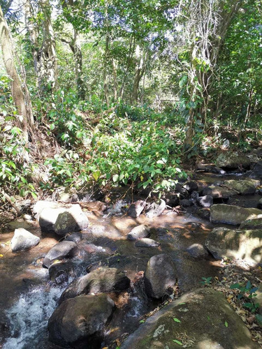 Imagen 2 de 14 de Bella Propiedad, Paz Y Naturaleza, Tranquilidad, Tierras Mor