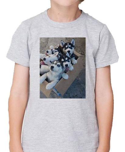 Remera De Niño Husky Siberiano Cachorros M2