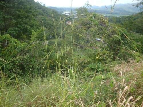 Imagen 17 de 18 de Terreno En Venta En Colinas De Guataparo Valencia Carabobo 22g8223 Gerardo Guillén Rentahouse