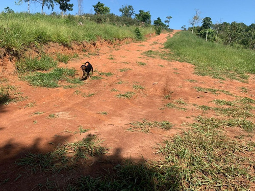 Imagem 9 de 12 de E.c / O Nosso Terreno Feito Para Você