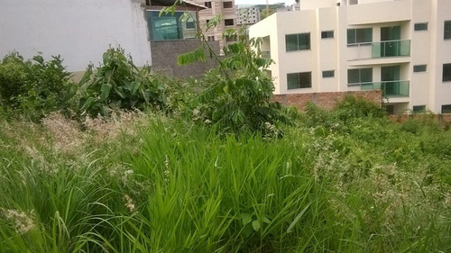Imagem 4 de 5 de Lote - Cabral - Ref: 39808 - V-39808