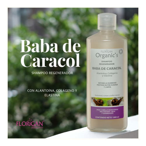 Shampoo Regenerador Emulacion De Baba De Caracol 10 Piezas