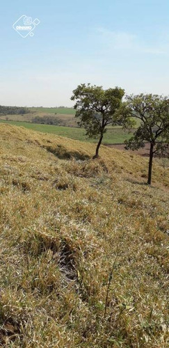Chácara À Venda, 20.000 M² Ribeirão Preto/sp - Ch0053