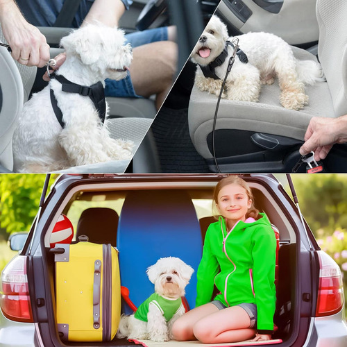 Arnés De Seguridad Para Perro, Cinturón De Seguridad Resiste