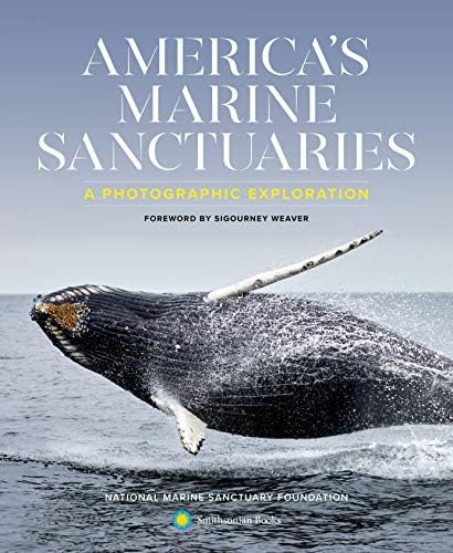 Americaøs Marine Sanctuaries: A Photographic Exploration, De Natøl Marine Sanctuary Fdn. Editorial Smithsonian Books, Tapa Dura En Inglés