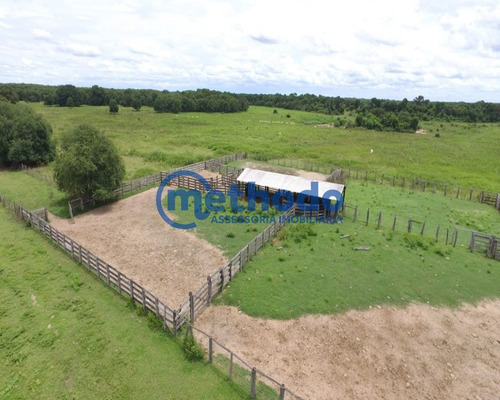 Fazenda - Fa00006 - 68495881
