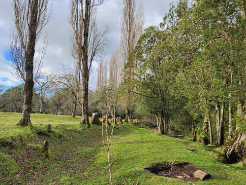Terreno Orilla Rio Maullin Y Ruta V60 Ideal Pesca Inversion