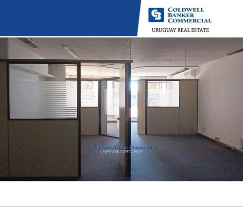 Alquiler De Oficina - Plaza Independencia - Ciudad Vieja