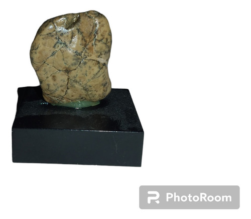 Suiseki Las Piedras Que Se Ven Con El Corazon