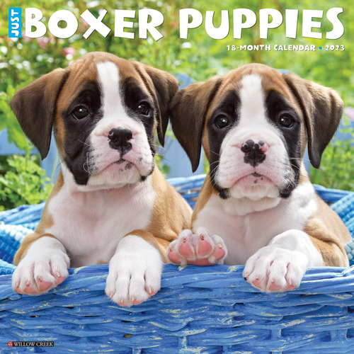 Libro: Just Boxer Puppies 2023 Calendario Pared