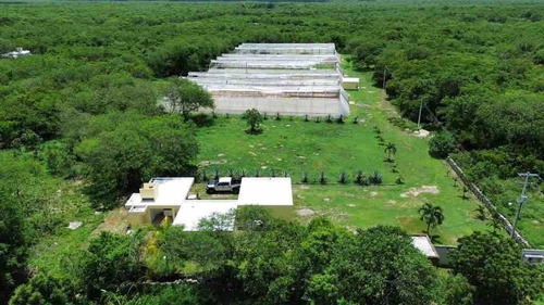 Terreno - Invernadero Cercano A La Costa Yucateca