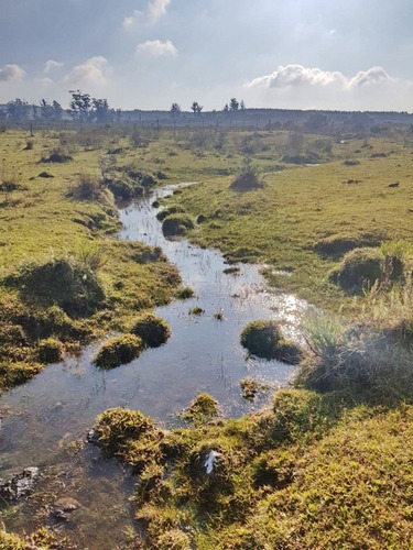 Venta De Chacra 5 Has En Ruta 9, Cerca De Pan De Azucar, Maldonado.- Ref: 19213