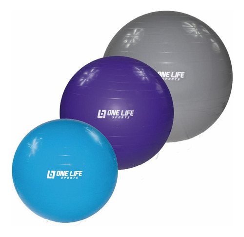 Kit Com 3 Bolas De Pilates 55cm 65cm E 75 Cm