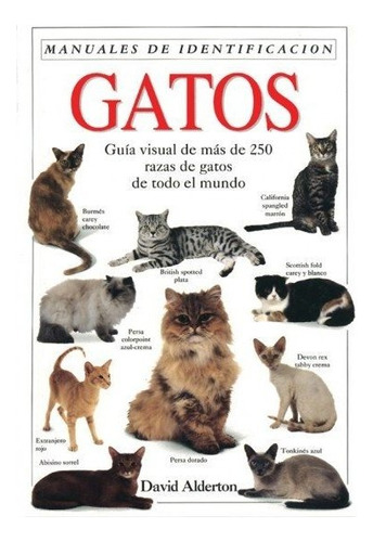 Gatos. Manual De Identificacion, De Alderton, David. Editorial Omega, Tapa Dura En Español