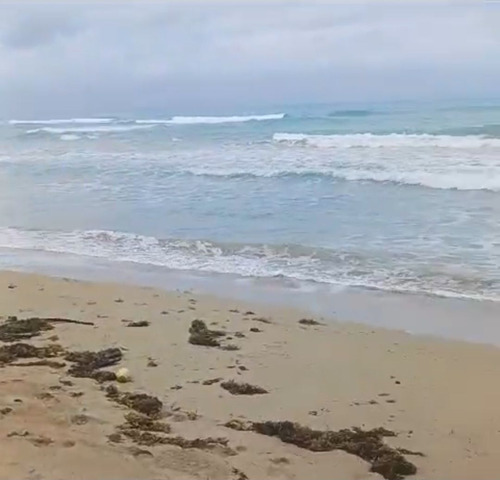 Cosòn, Terreno En 1ra Linea De Playa