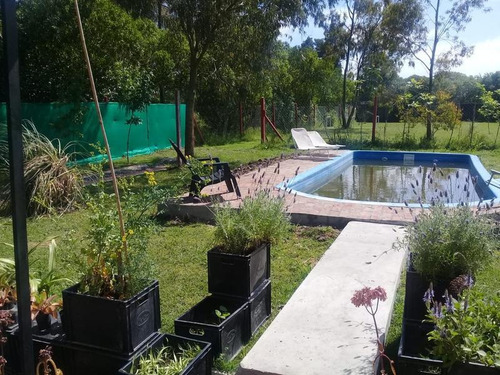 Imagen 18 de 30 de Quinta - La Nueva Hermosura