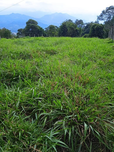 Imagen 11 de 17 de Venta Espectacular Finca San Cristobal, Estado Tachira