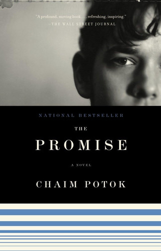 Libro En Inglés: The Promise