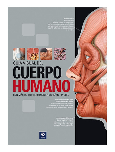 Guia Visual Del Cuerpo Humano, De Belanger, Sylvain. Editorial Edimat Libros, Tapa Dura En Español