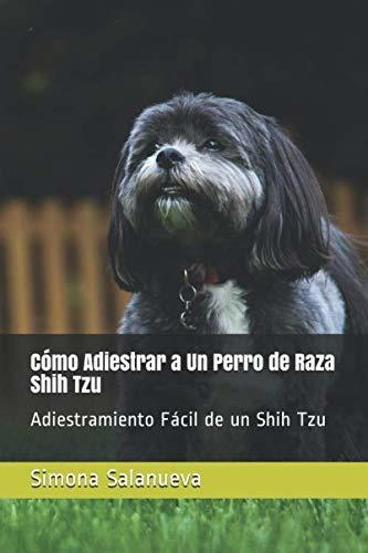 Cómo Adiestrar A Un Perro De Raza Shih Tzu: Adiestramiento F